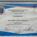 Ampliar imagen: certificate 4