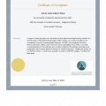 Ampliar imagen: certificate 25