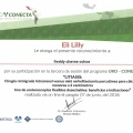 Ampliar imagen: certificate 31