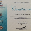 Ampliar imagen: certificate 71