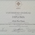 Ampliar imagen: certificate 3