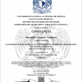 Ampliar imagen: certificate 5