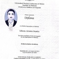 Ampliar imagen: certificate 6