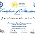 Ampliar imagen: certificate 9