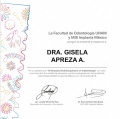 Ampliar imagen: certificate 10