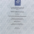 Ampliar imagen: certificate 3