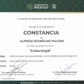 Ampliar imagen: certificate 4
