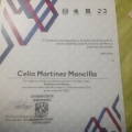 Ampliar imagen: certificate 8