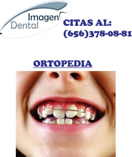 Leonel Palma Carlos-24