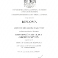 Ampliar imagen: certificate 3