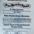 Ampliar imagen: certificate 13