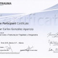 Ampliar imagen: certificate 7