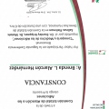 Ampliar imagen: certificate 3