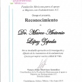 Ampliar imagen: certificate 19