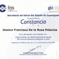 Ampliar imagen: certificate 8