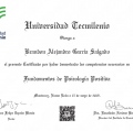 Ampliar imagen: certificate 24