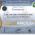 Ampliar imagen: certificate 12