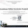 Ampliar imagen: certificate 11
