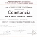 Ampliar imagen: certificate 6