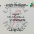 Ampliar imagen: certificate 28