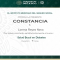 Ampliar imagen: certificate 4