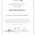 Ampliar imagen: certificate 4