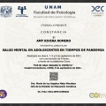 Ampliar imagen: certificate 9