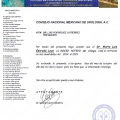 Ampliar imagen: certificate 6