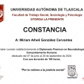 Ampliar imagen: certificate 10