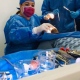 Wendy Arechiga Barragan