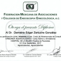 Ampliar imagen: certificate 8