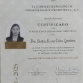 Ampliar imagen: certificate 1