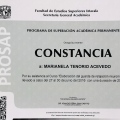 Ampliar imagen: certificate 26