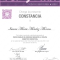 Ampliar imagen: certificate 13