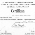 Ampliar imagen: certificate 7