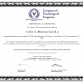 Ampliar imagen: certificate 7