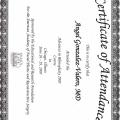 Ampliar imagen: certificate 10