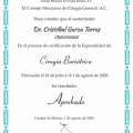 Ampliar imagen: certificate 1