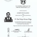 Ampliar imagen: certificate 2