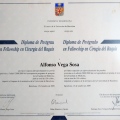 Ampliar imagen: certificate 7