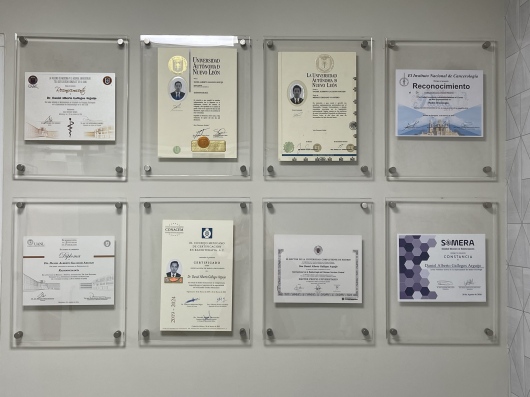 Daniel Alberto Gallegos Arguijo-1