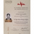 Ampliar imagen: certificate 5