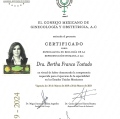 Ampliar imagen: certificate 2