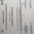 Ampliar imagen: certificate 5