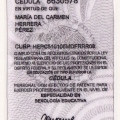 Ampliar imagen: certificate 21
