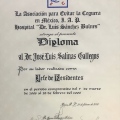 Ampliar imagen: certificate 3