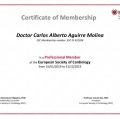 Ampliar imagen: certificate 2