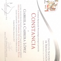Ampliar imagen: certificate 3