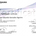 Ampliar imagen: certificate 8