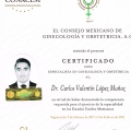 Ampliar imagen: certificate 2